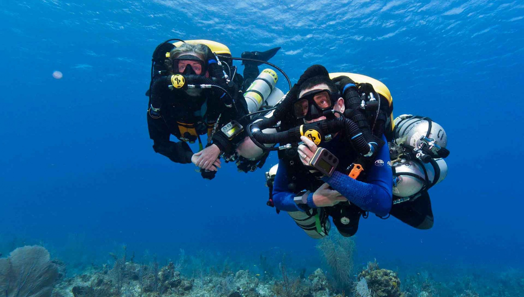 Expert scuba dives association of diving centers in costa brava