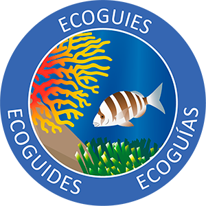 Ecoguide tools logo