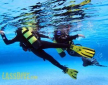 Lassdive