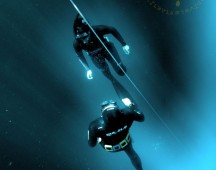 Lassdive