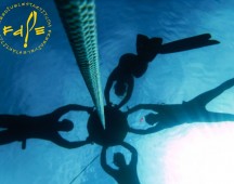 Lassdive