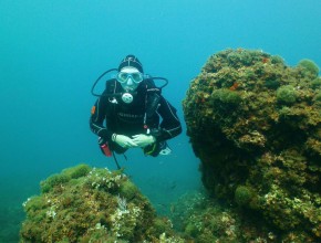 Scuba diving in Costa Brava: Top sites + Things to know