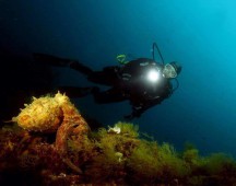Calypso Diving Estartit