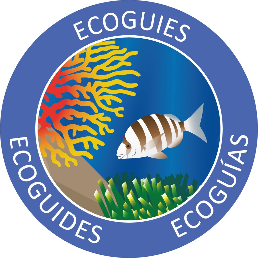 PRESENTACIÓ DEL PROJECTE "EINES D'ECOGUIATGE"