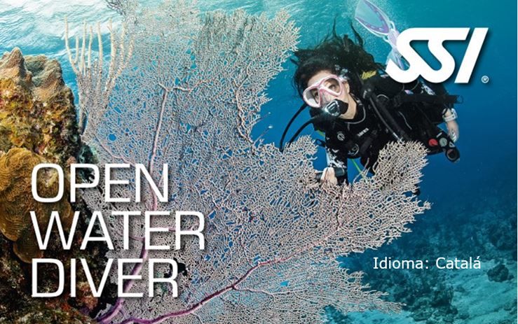 SSI DISPOSA DEL MATERIAL OWD DISPONIBLE ARA TAMBÉ EN CATALÀ, EN EMS I LA APP