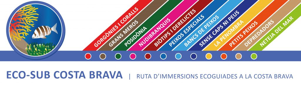 IMPULSEN UNA RUTA D’IMMERSIONS ECOGUIADES A LA COSTA BRAVA 