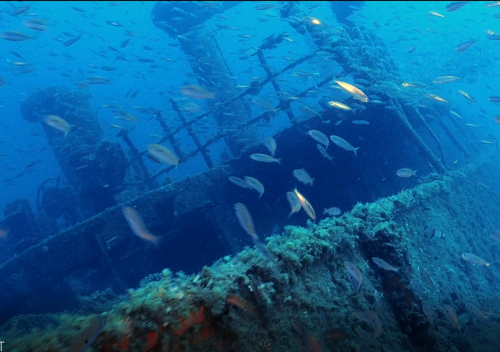 5.- Marine biotopes and wrecks