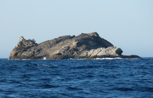 7.- Com si fossin un: els bancs de peixos