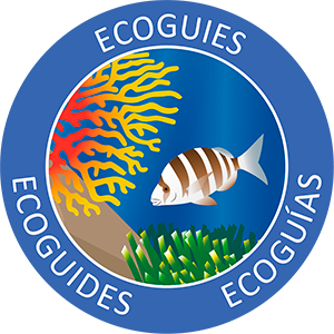 Herramientas de ecoguiaje logo